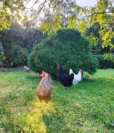 Apartamento Teweshof In Am Niederrhein