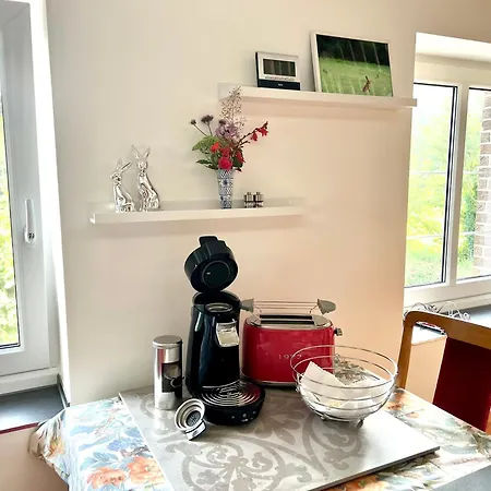 Teweshof In Am Niederrhein 公寓 里斯