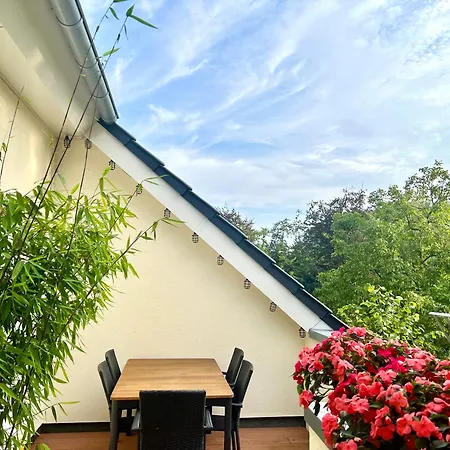 Teweshof In Am Niederrhein Rees