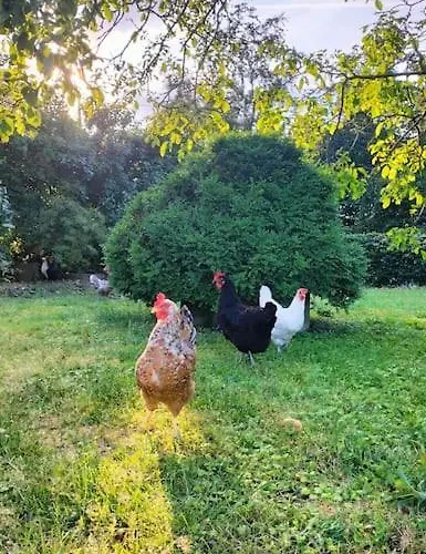 아파트 Teweshof In Am Niederrhein